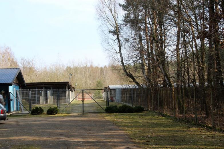 Spór o schronisko w Sobolewie /AUDIO/